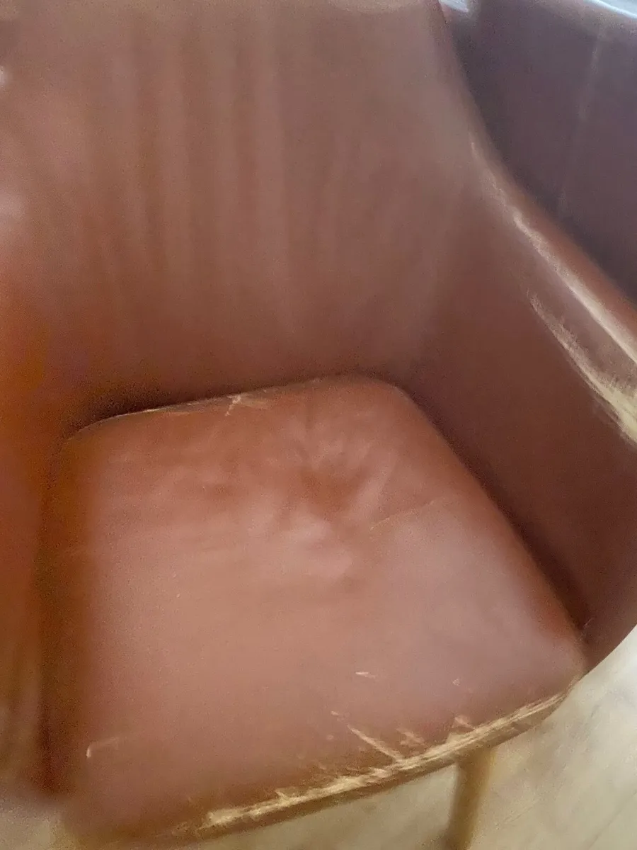 Dining chairs - Image 3