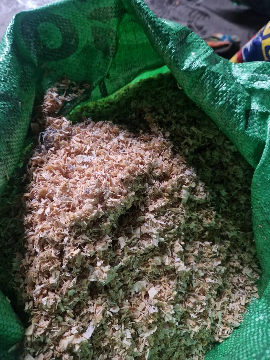 Shavings for Bedding - Image 1