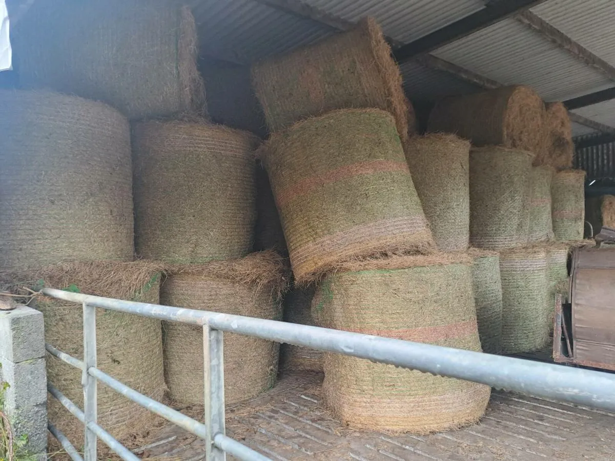 60 round bales of Hay for sale - Image 1