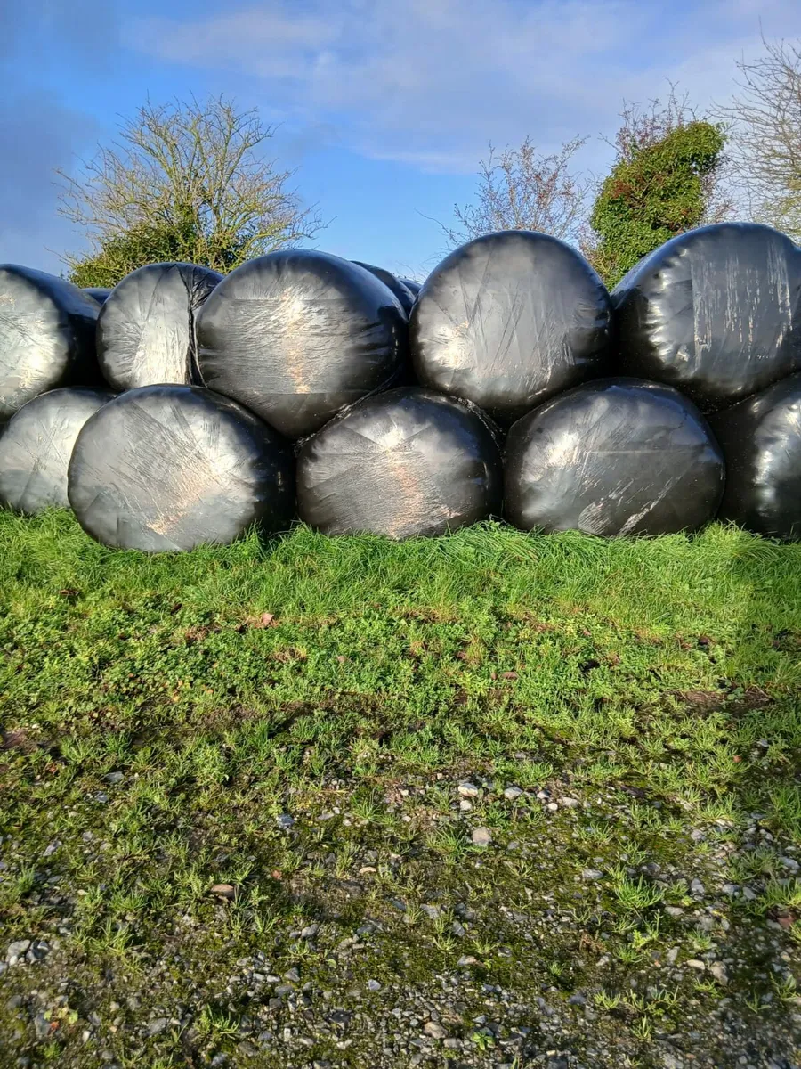 Silage Bales