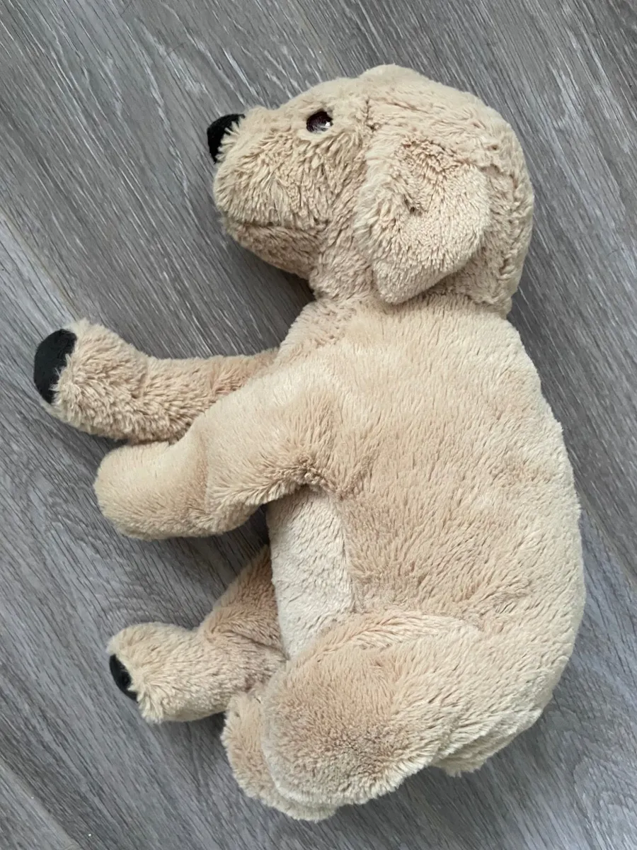 NEW Dog Teddy Soft Toy - 32cm - Image 2