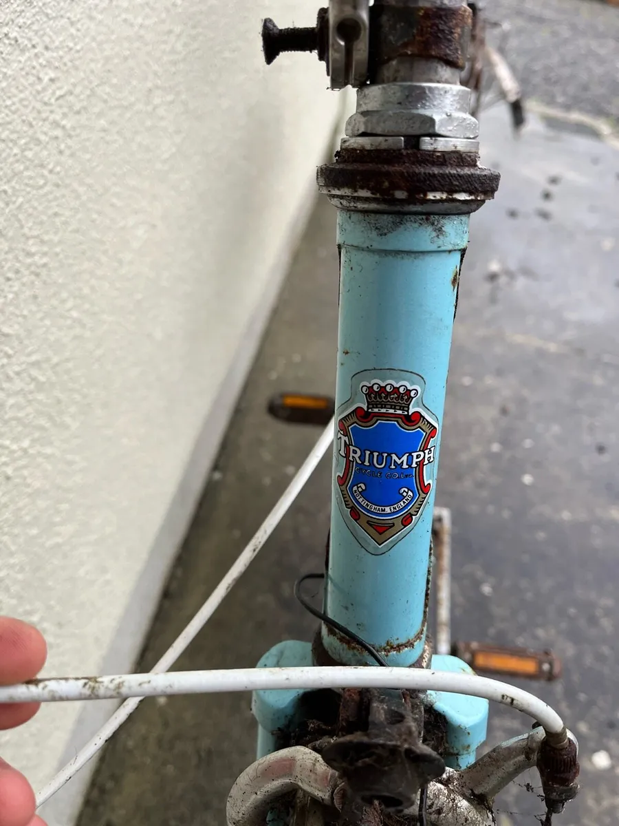 Old vintage bikes for sale - Image 1