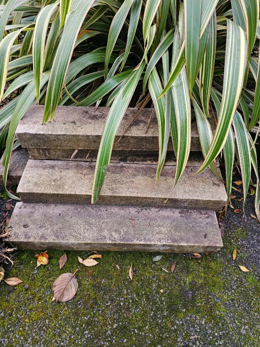 Granite Kerbs Gold used - Image 2