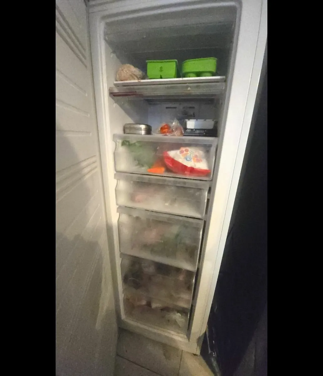 Freezer - Image 2