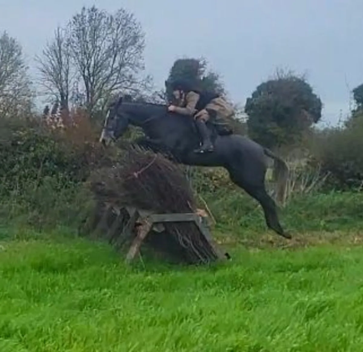 Super hunter/allrounder - Image 1