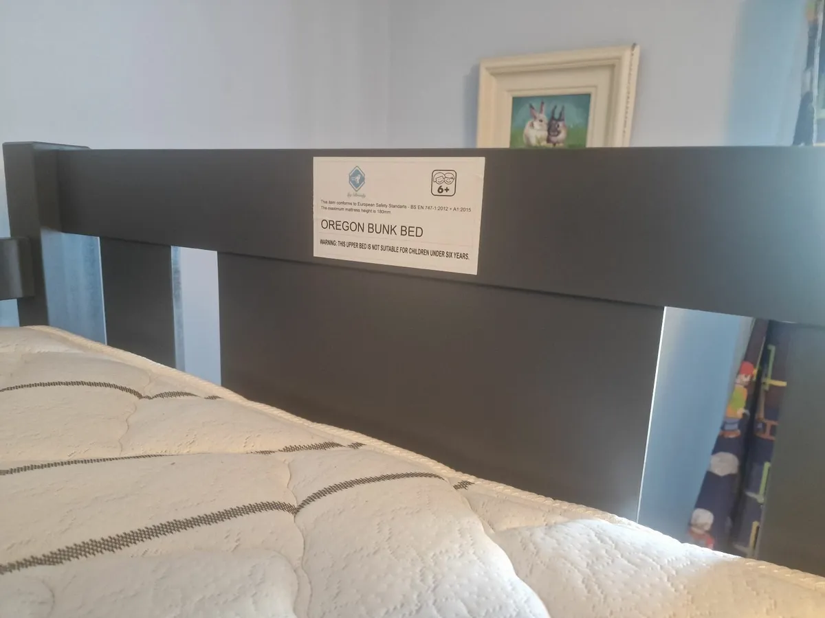 Kids Bunkbed - Image 2