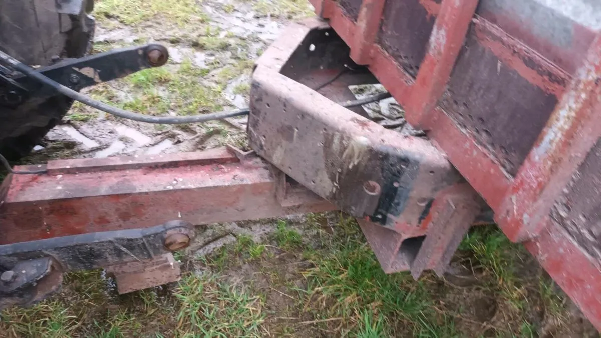 Cattle Trailer - Image 2