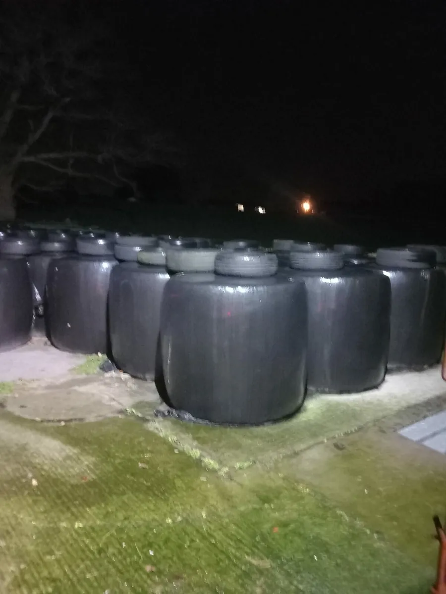 Silage/haylage - Image 1