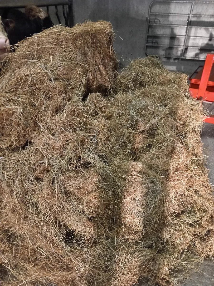 Silage/haylage - Image 2