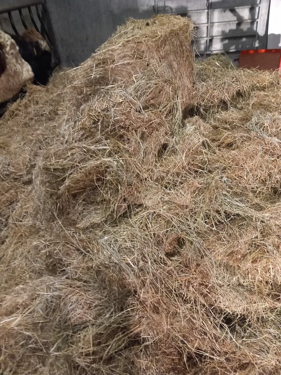 Silage/haylage - Image 3