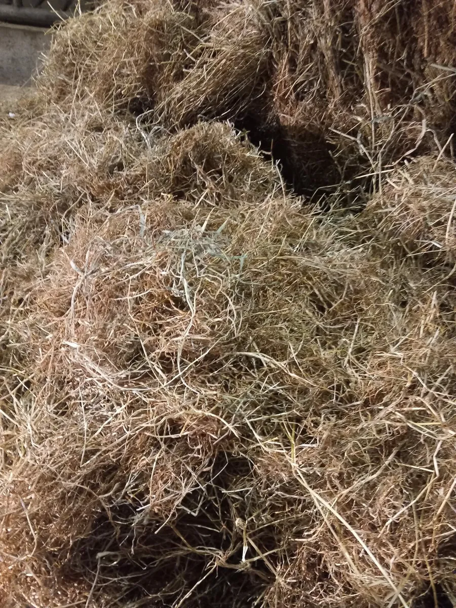 Silage/haylage - Image 4