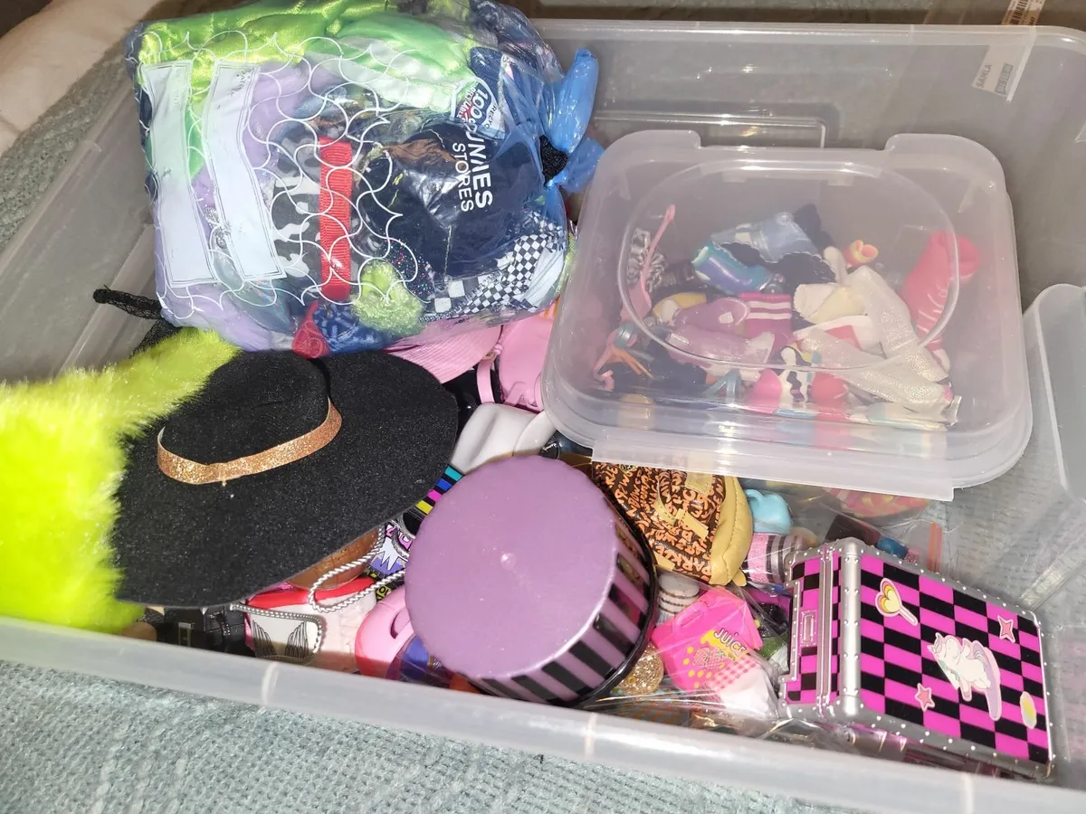 Omg/Rainbow high doll bundle - Image 3