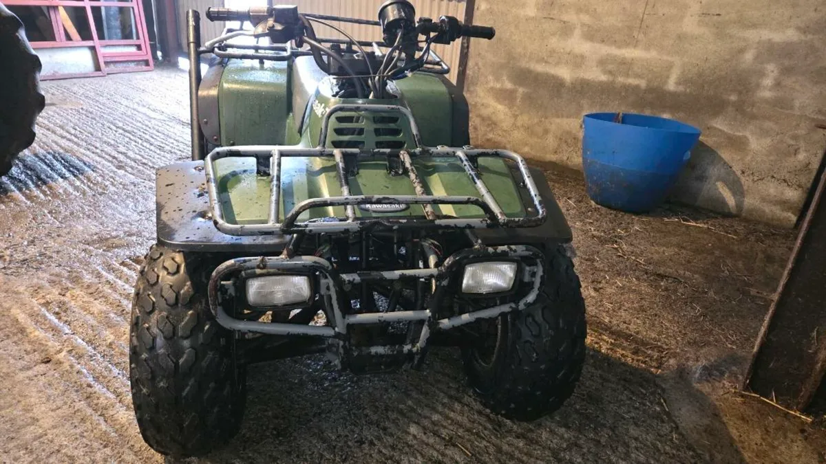 Kawasaki klf300 - Image 4