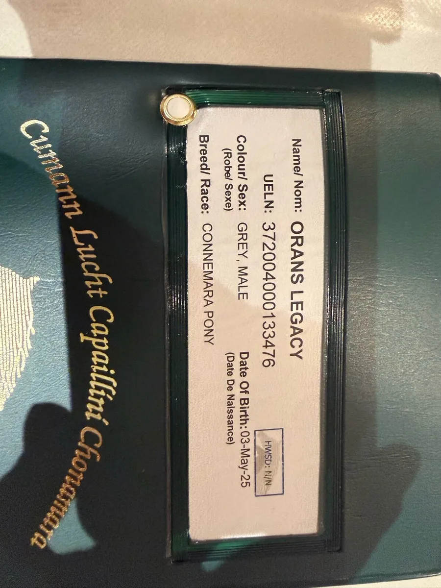 Orans Legacy - Image 1