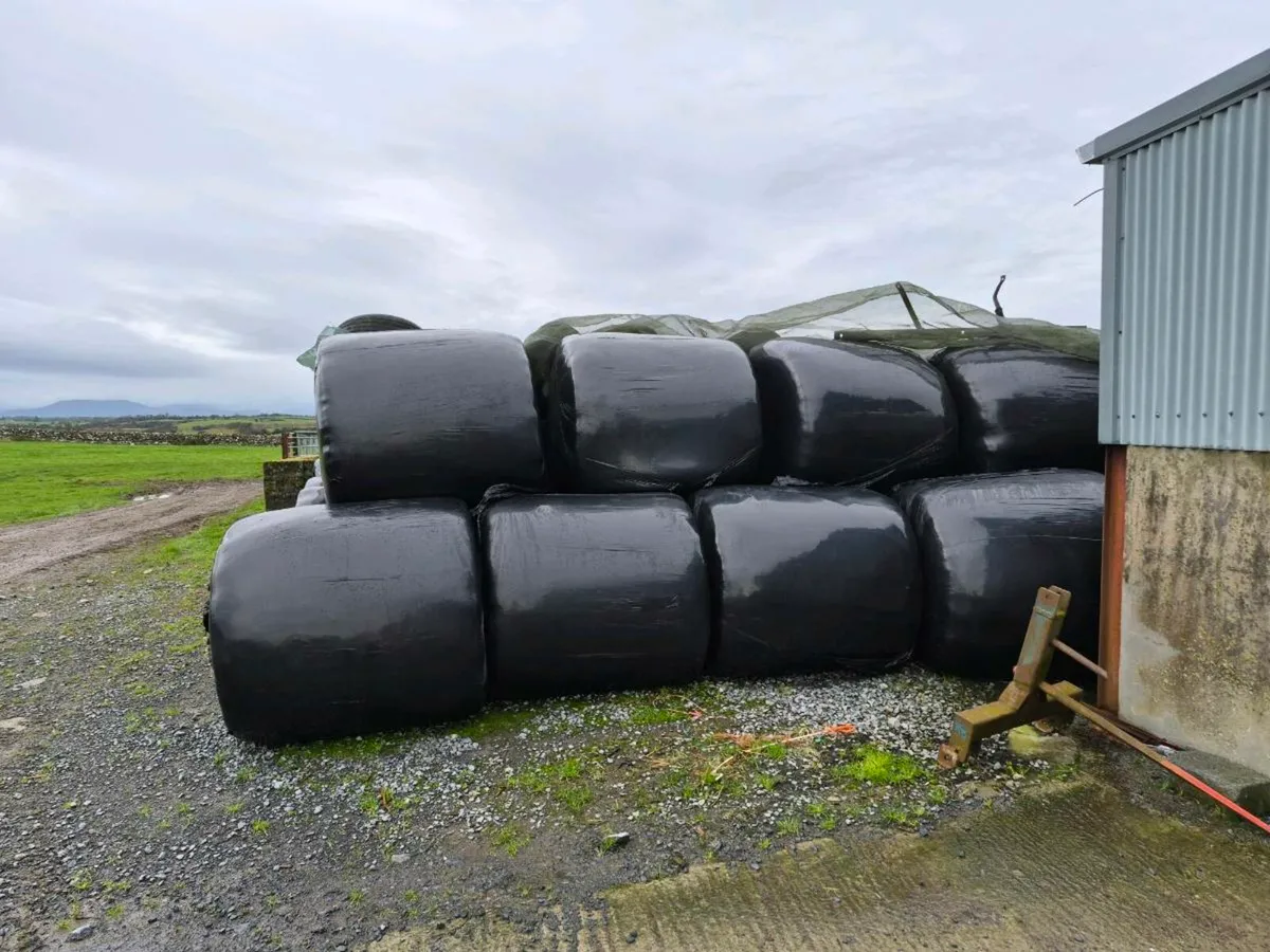Silage Bales - Image 4