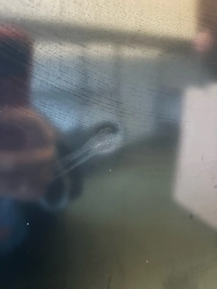 Bosch Series 4 Fridge Freezer - Image 2