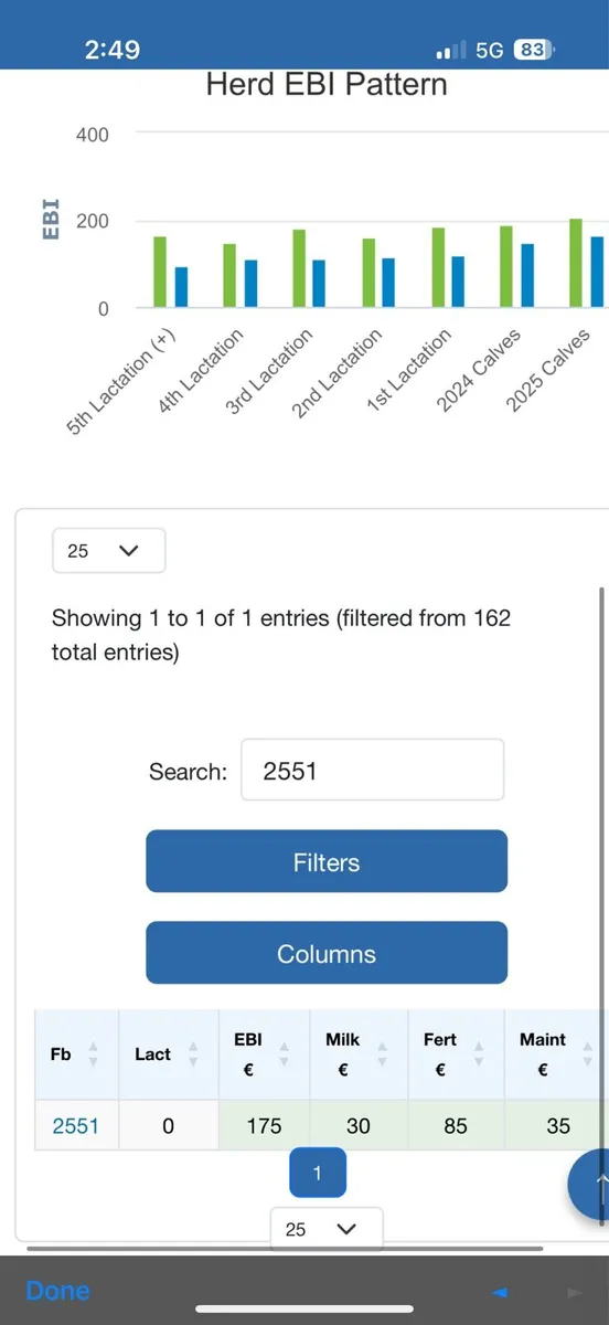 Hi EBI heifers for sale surplus stock - Image 3
