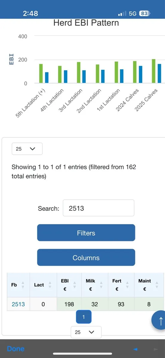 Hi EBI heifers for sale surplus stock - Image 4