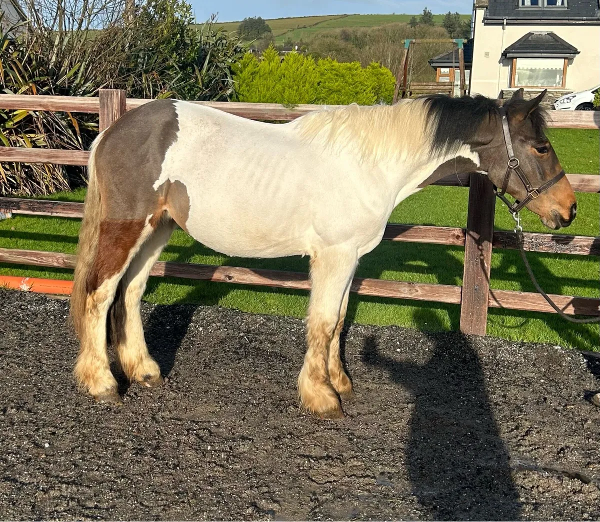 🍯Honey🍯 - Image 1