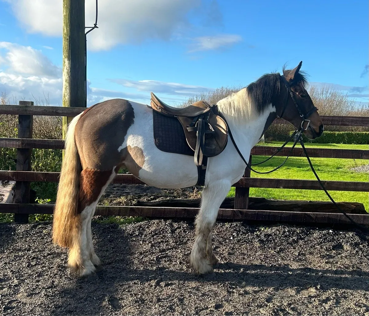 🍯Honey🍯 - Image 2