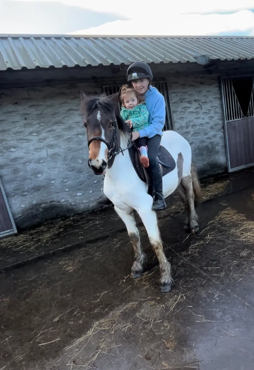 🍯Honey🍯 - Image 4