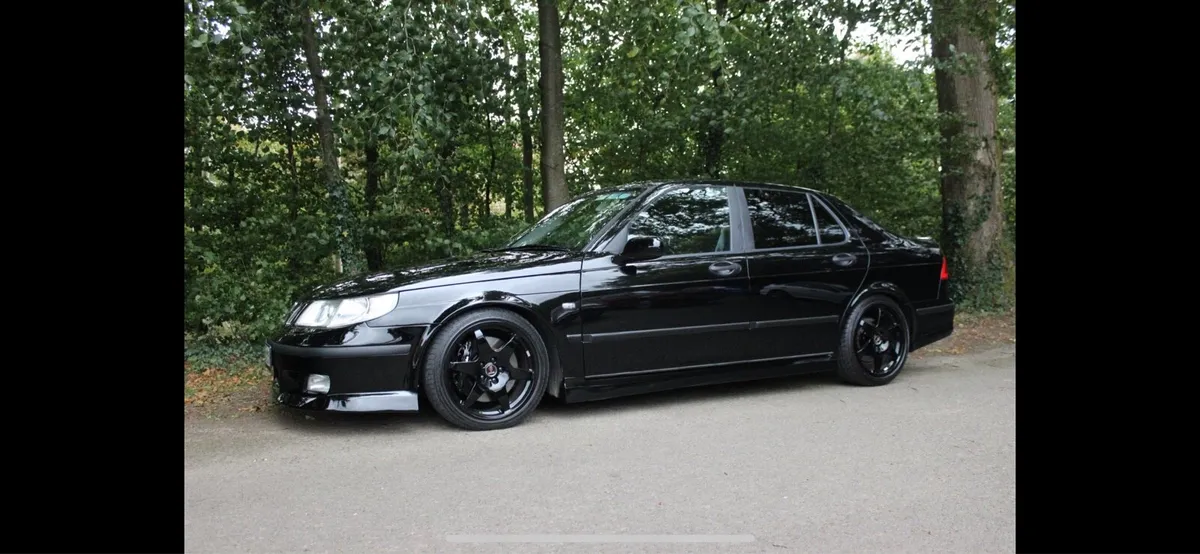 Saab 9-5 Hirsch Troll R - Image 2