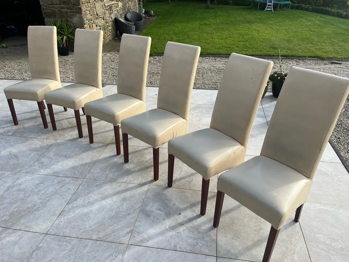 Kitchen dining chairs - Image 1