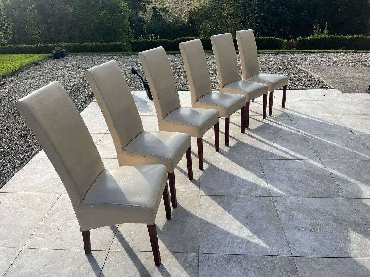 Kitchen dining chairs - Image 2