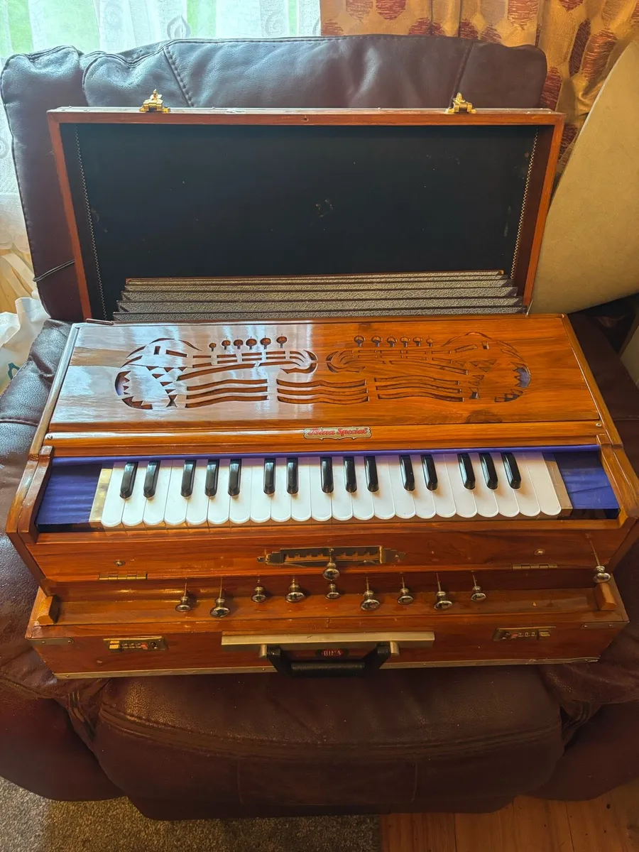 Bina special harmonium - Image 1