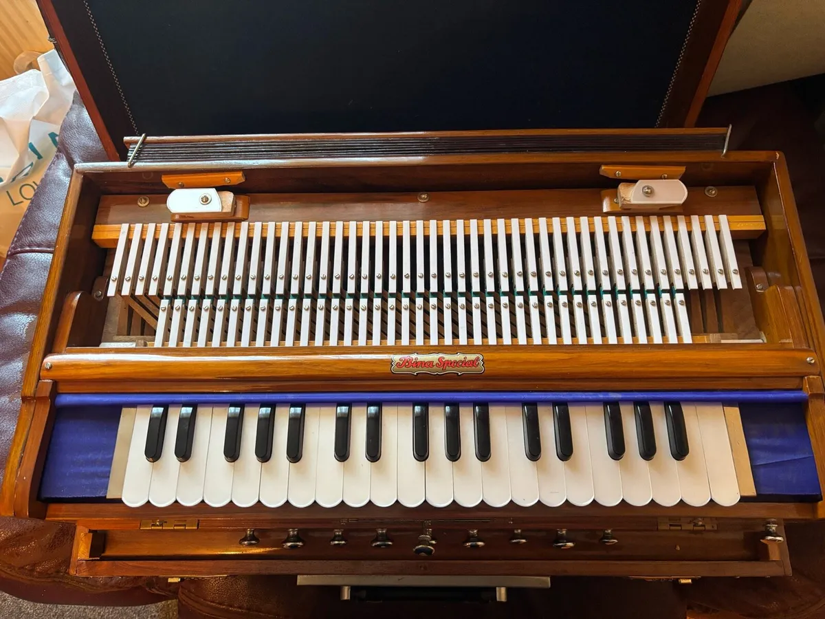 Bina special harmonium - Image 2