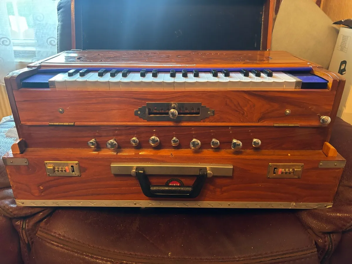 Bina special harmonium - Image 3