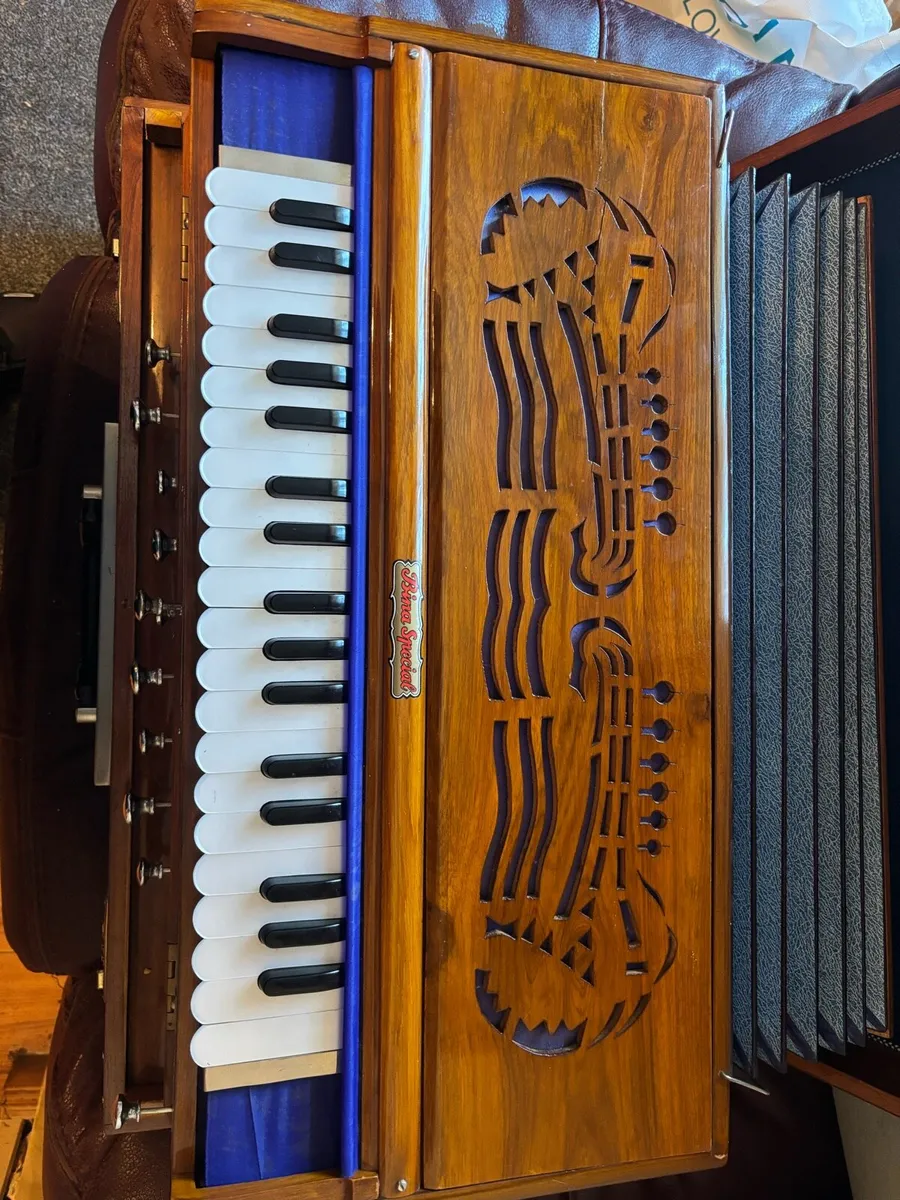 Bina special harmonium - Image 4