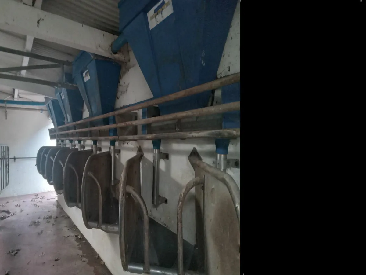 Parlour feeding system - Image 3