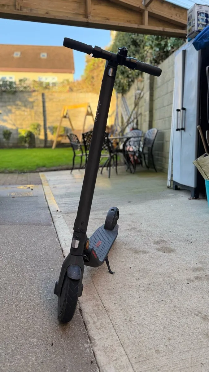 Skegway ninebot - Image 1