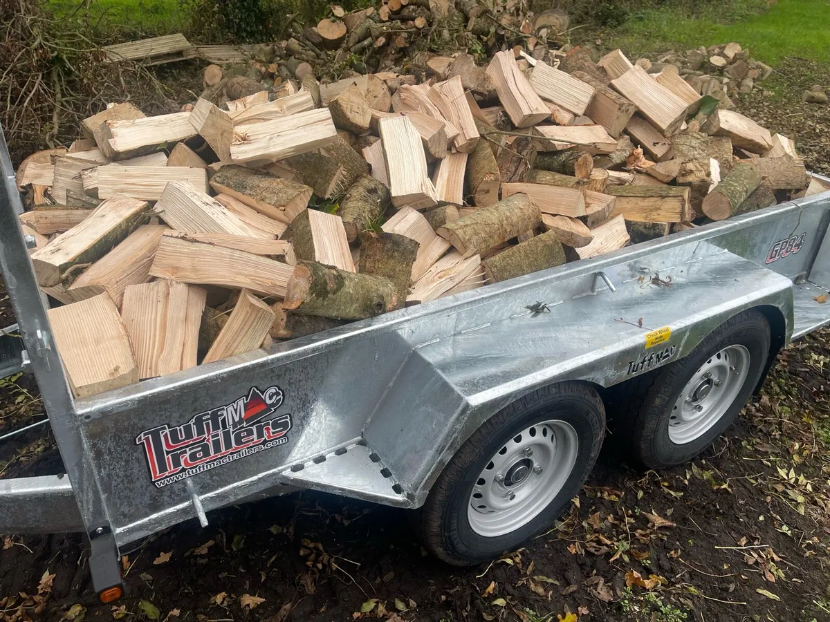 Ash/sycamore firewood - Image 1