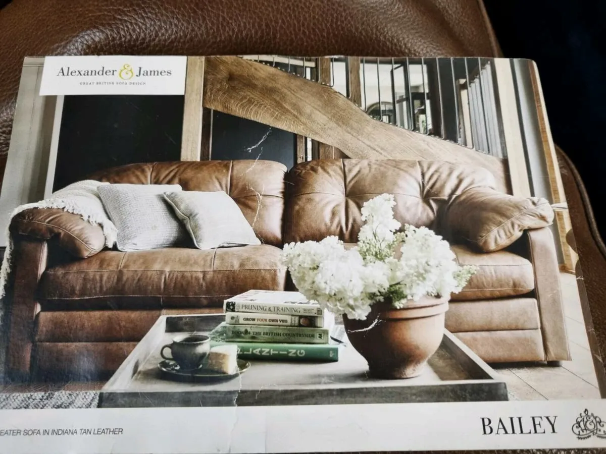 Alexander and James Bailey - Image 2