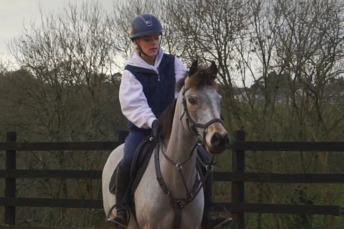 🌟 Stunning Pony Club Pony 🌟 - Image 1