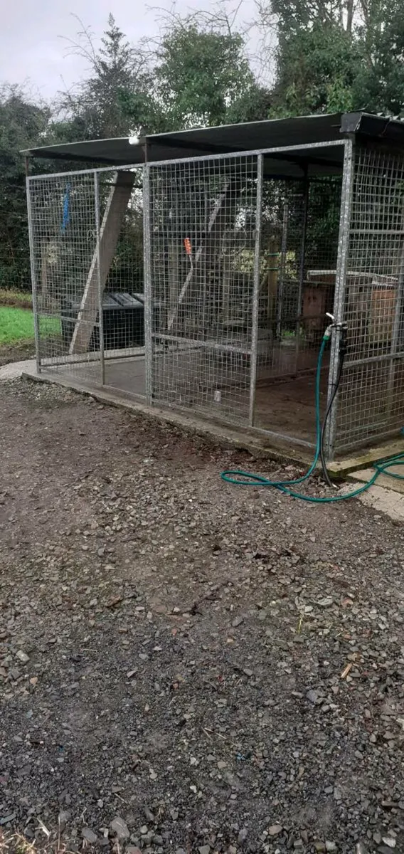 Dog run and dog trailor - Image 1