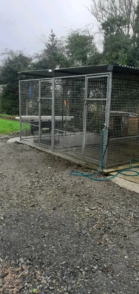 Dog run and dog trailor - Image 2