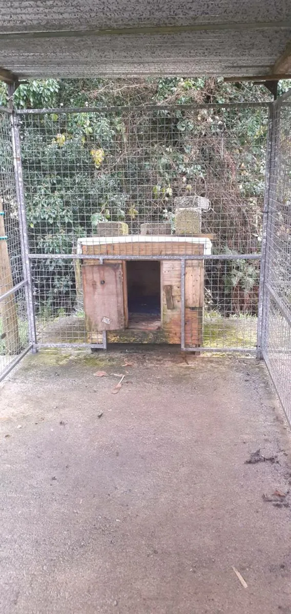 Dog run and dog trailor - Image 3