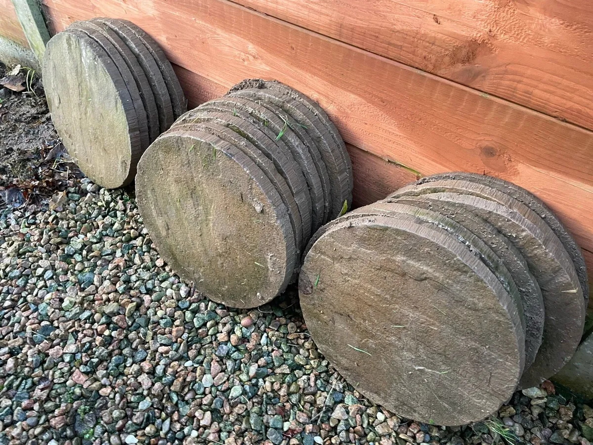 Concrete Garden pavers free - Image 3