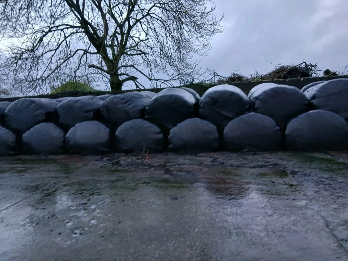 Silage Bales - Image 2