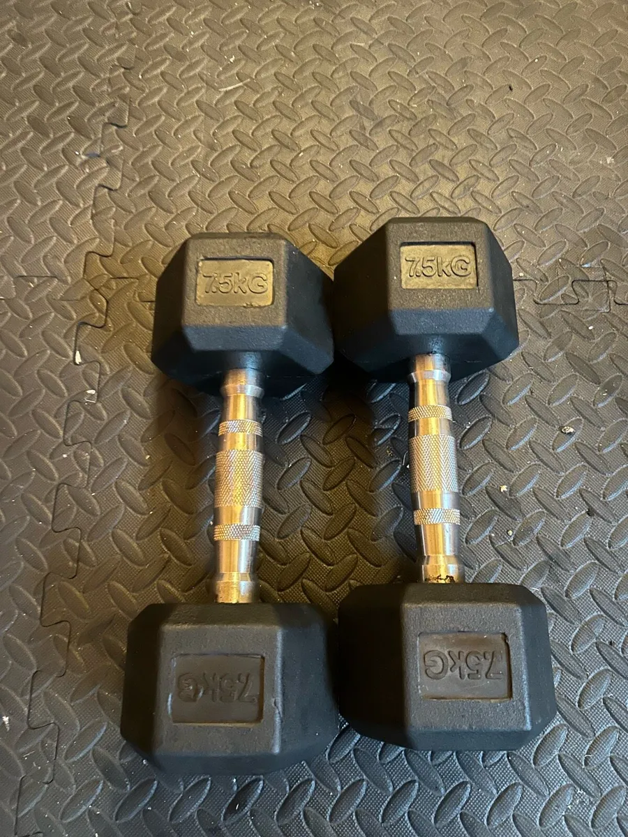 Dumbbells - Image 1