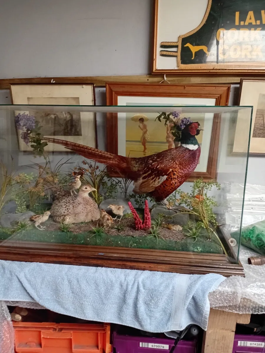 Taxidermists - Image 1