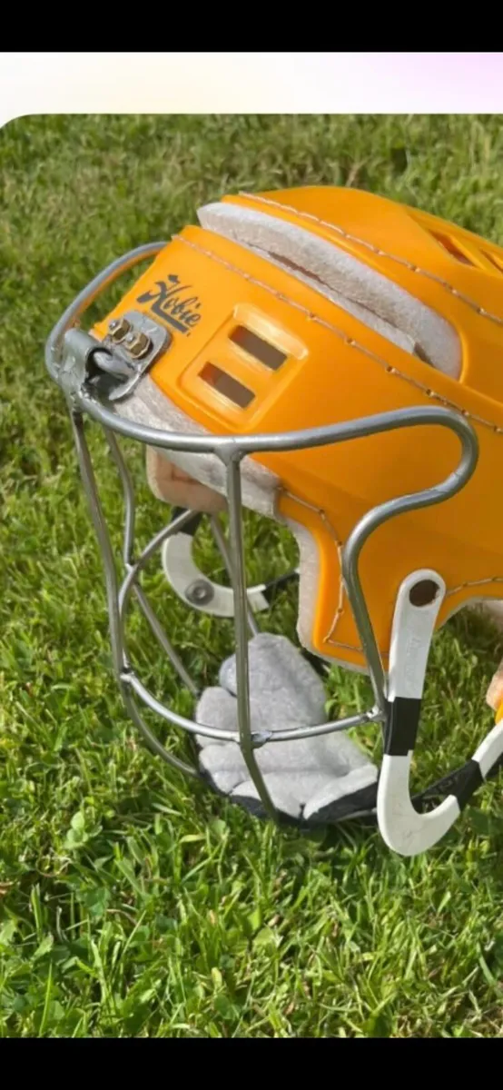 Kilkenny cleere guard - Image 2