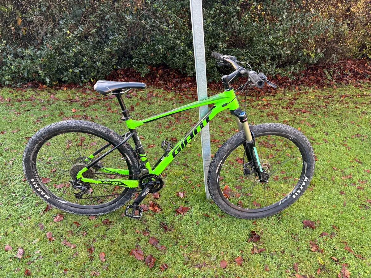 Giant mountain bike - Image 1
