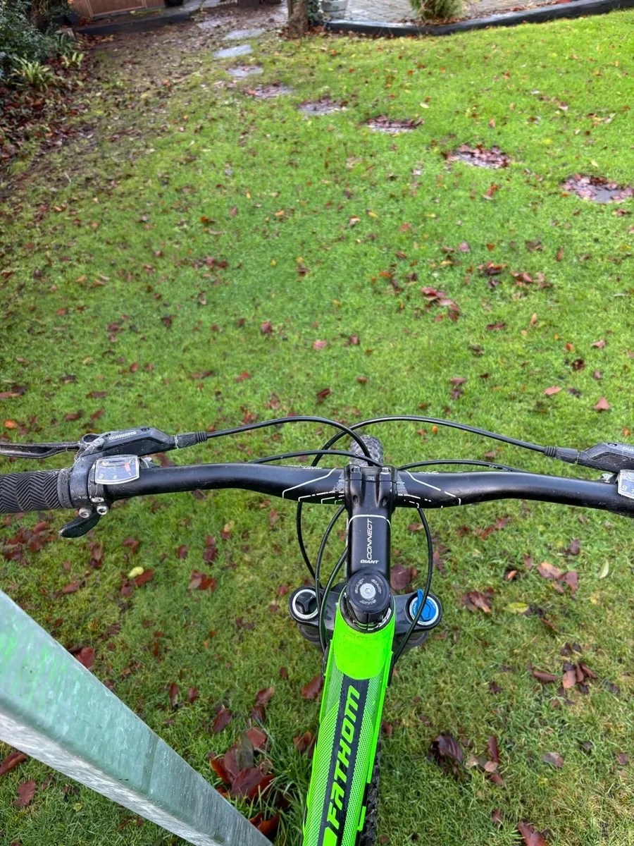 Giant mountain bike - Image 3