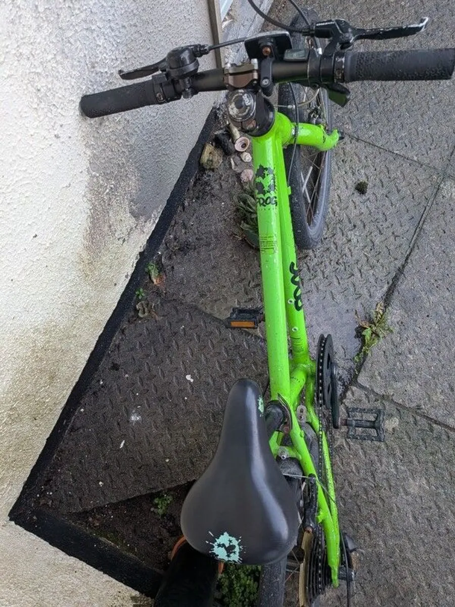 Frog 52 Bike - Image 3