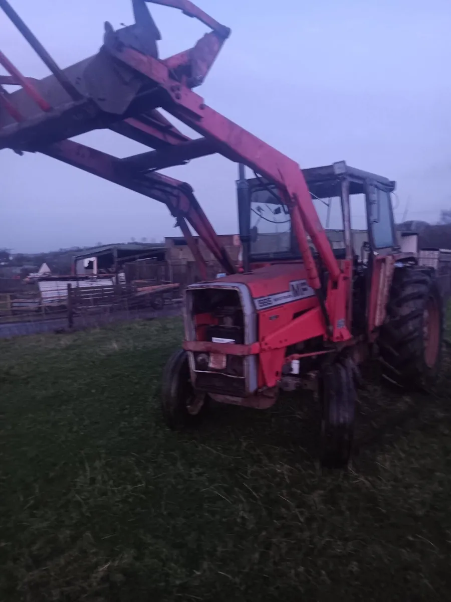 Massey Tractor 565 - Image 2