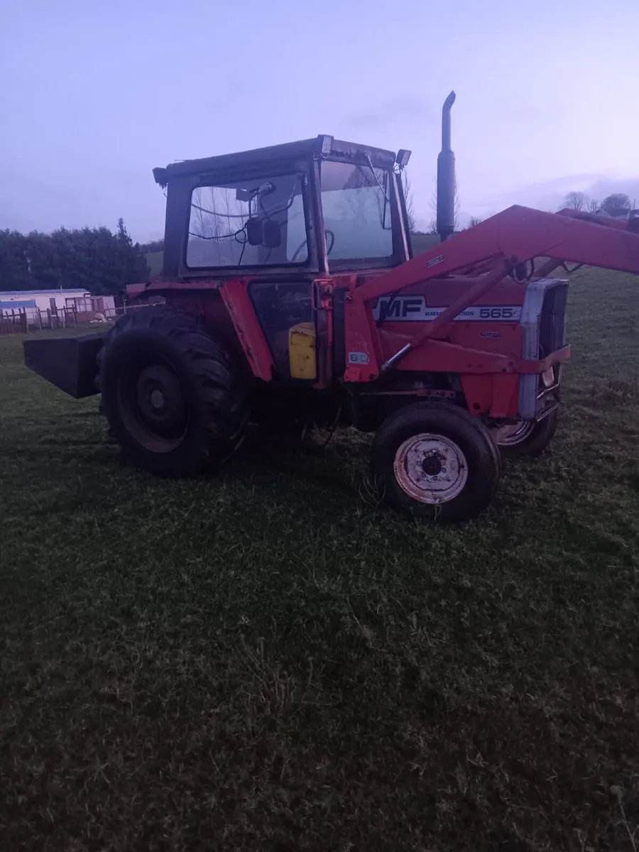 Massey Tractor 565 - Image 3